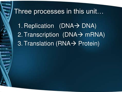 Ppt Dna And Protein Synthesis Notes Powerpoint Presentation Free Download Id 1428598