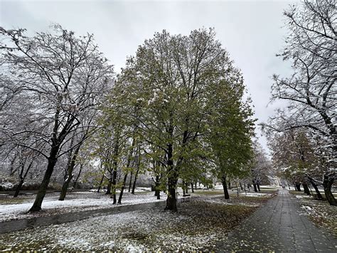 Prognoza Pogody Na Poniedzia Ek I Wtorek B Dzie Pochmurno I Deszczowo