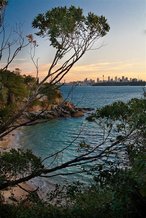 Lady Bay Beach One Of The Few Nude Beaches In Sydney Lady Flickr