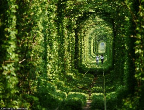 30 Lugares Abandonados Tomados Por La Naturaleza Bioguia