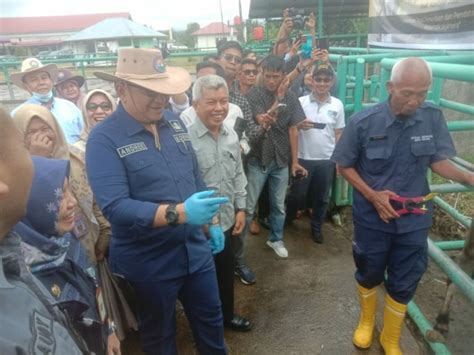 Kick Off Pengendalian Dan Penanganan Pmk Nasional Resmi Dibuka