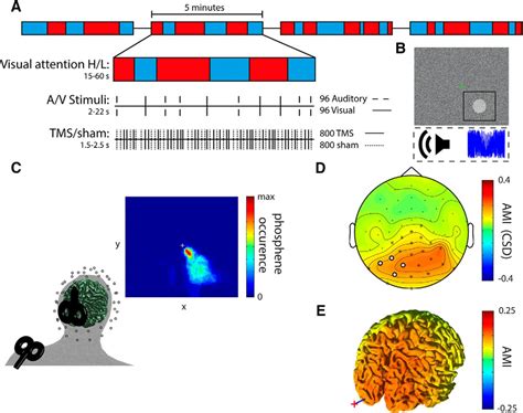 Attention Modulates Tms Locked Alpha Oscillations In The Visual Cortex