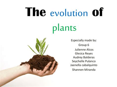 The evolution of plants