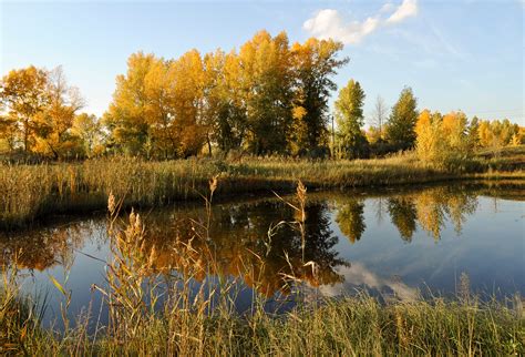 Autumn,river,landscape,calm,quiet - free image from needpix.com