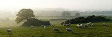 Yorkshire Dales Countryside Free Stock Photo - Public Domain Pictures