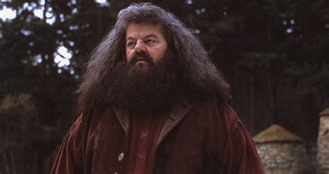 Hagrid's family | Fact# 23373 | FactRepublic.com