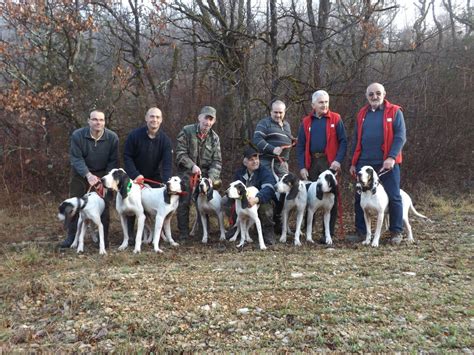 Succès pour le brevet de chasse à Flaujac Poujols Medialot