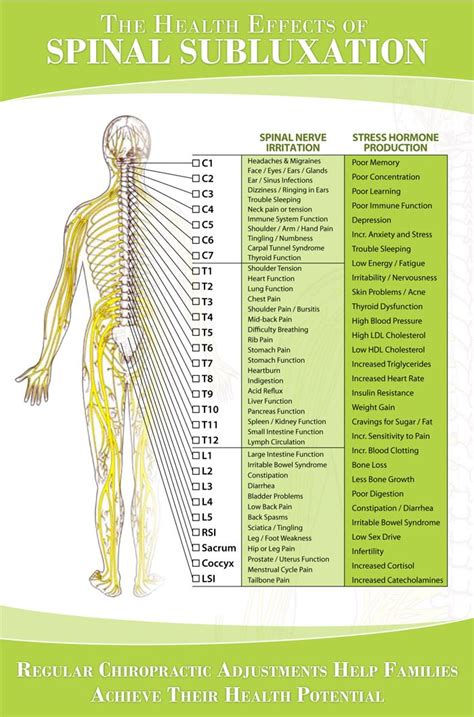 Pin on Bones & Muscles