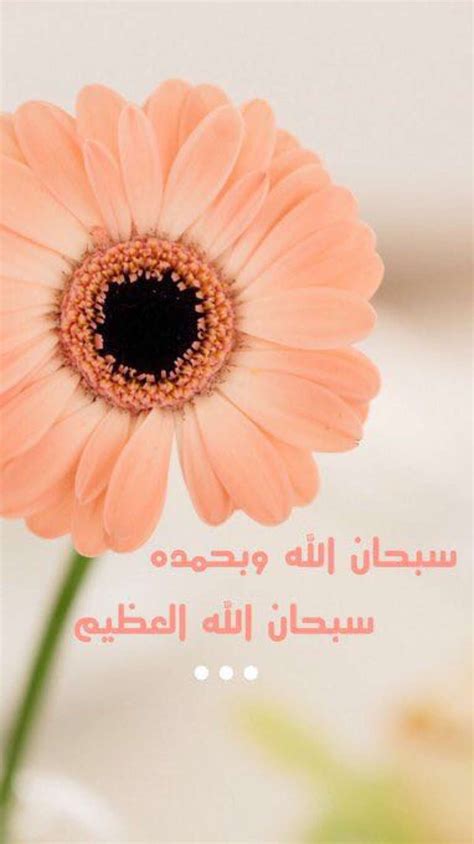 Beautiful Pink Flower With Arabic Writing