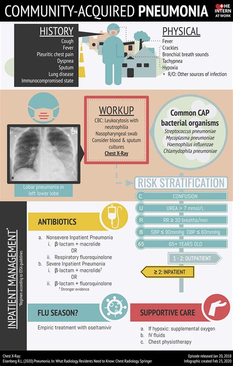 Community Acquired Pneumonia Infographic Infographics Medicpresents