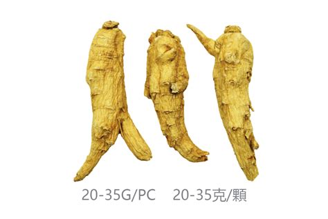 01 4 Year Mid Chunky Material Canadian Ginseng Farm