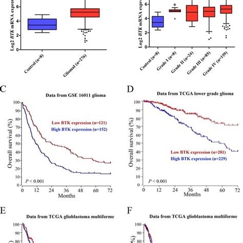 BTK Inhibitor Ibrutinib Suppresses The Proliferation Of Glioma Cells