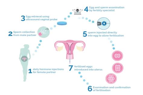 An Insight Into The Ivf Treatment Cost And Procedure