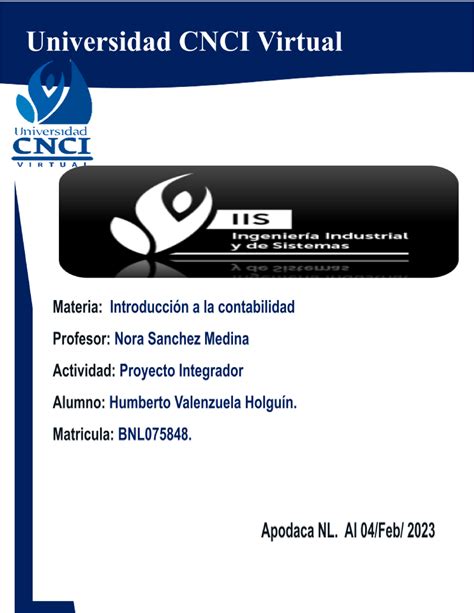 Proyecto Integrador Introduccion A La Contabilidad A Desarrollo