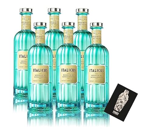 Italicus 6er Set Bergamotte Likör 6x 0 7L 20 Vol Rosolio di