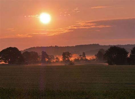 Das Ampermoos Im Sommer Kurz Nach Sonnenaufgang Mit Bodennebel Hier