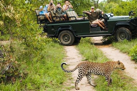 Krüger Nationalpark 4 tägige private Safari ab Johannesburg zur