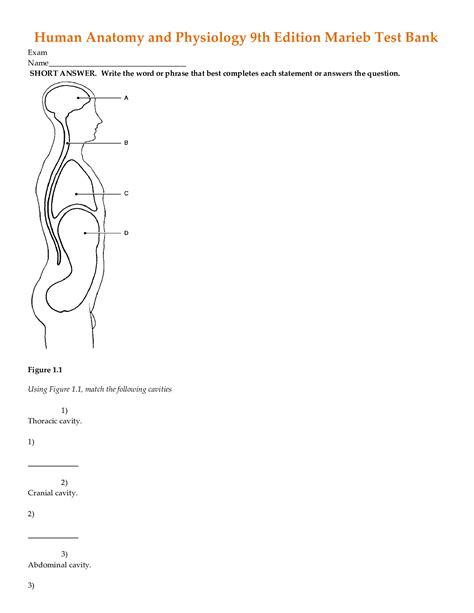 Test Bank Human Anatomy And Physiology 9th Edition Marieb Chapter 1