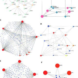 Tf Hub Genes And Mirna Hub Genes Network Construction Using