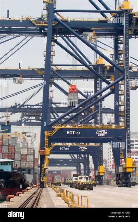 Container Shipping Trucks Line Up To Receive Unloaded Containers At