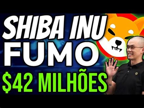 URGENTE SHIBA INU AGORA YouTube