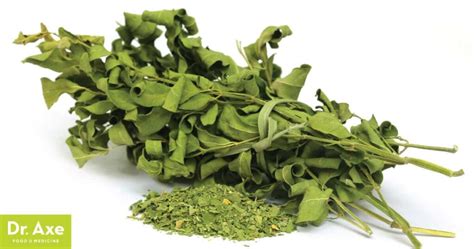 Avantages Effets Secondaires Utilisations Et Posologie Du Moringa