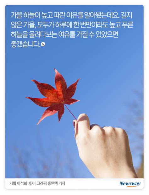 정말 가을 하늘은 더 높고 파랄까 네이버 블로그