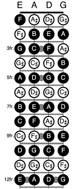 Bass Guitar Chord Notes