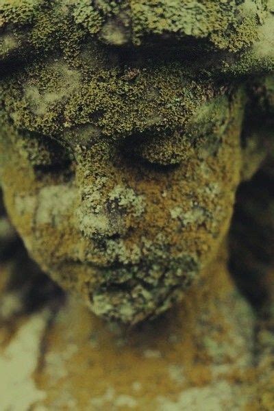 A Statue With Moss Growing On It S Head