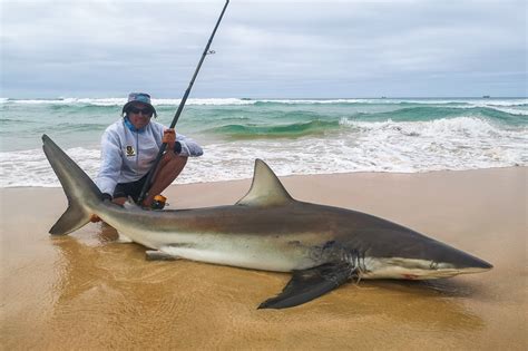 Hosted Shark Fishing Jeffreys Bay South Africa Sportquest Holidays