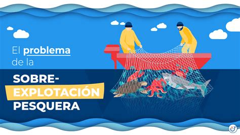 sobreexplotación pesquera Ocean ART Project