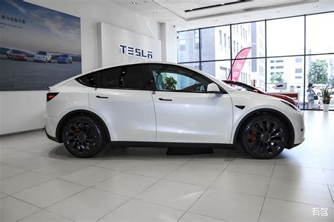 Five Tips Before Buying A Tesla Model Y INEWS