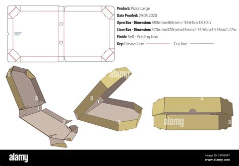 Pizza Box Large Packaging Template Self Lock Die Cut Vector Stock