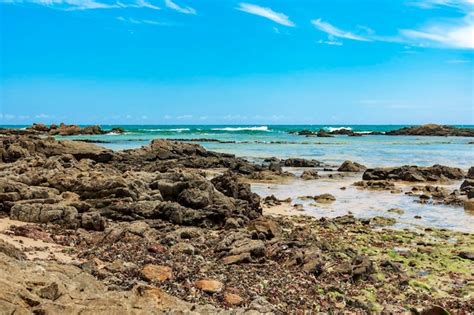 Rea Rochosa Piscinas Naturais Algas E Recifes Na Praia De Itapoa