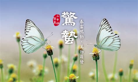 「驚蟄」到！病毒伺機而動，養生首重祛濕氣