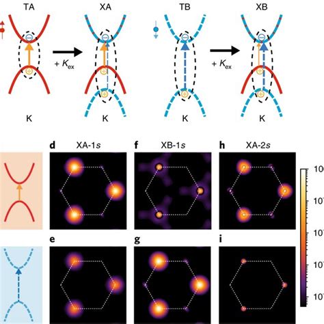 Exchange Driven Intravalley Mixing Of Excitons In Monolayer Transition