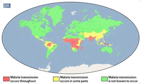 Malaria Epidemiology