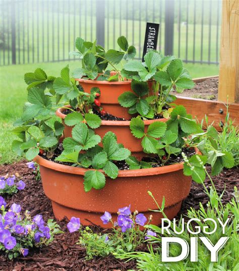 Diy Strawberry Planter A Quick And Easy Guide