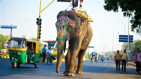 Gujarat Tourism: Guide to the top things to do & see | India Travel Blog - Expedia