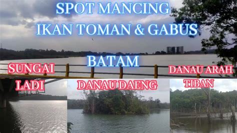 SPOT MANCING IKAN TOMAN DAN GABUS DI BATAM TOMAN SNAKEHEAD FISHING