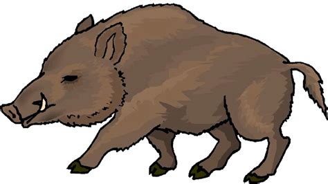 Download Wild Boar Illustrationpng