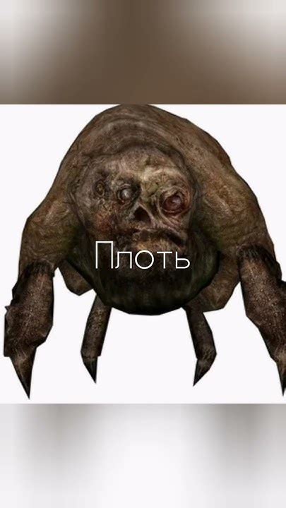 ВСЕ МУТАНТЫ ИЗ СТАЛКЕРА + ВЫРЕЗАНННЫЕ - YouTube