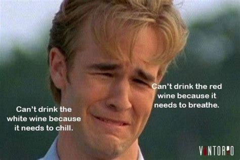 60 Funniest Wine Memes 2023 Unraveling Wine