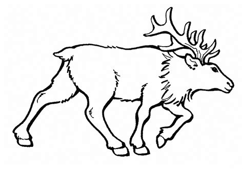 Elk Coloring Pages Best Coloring Pages For Kids