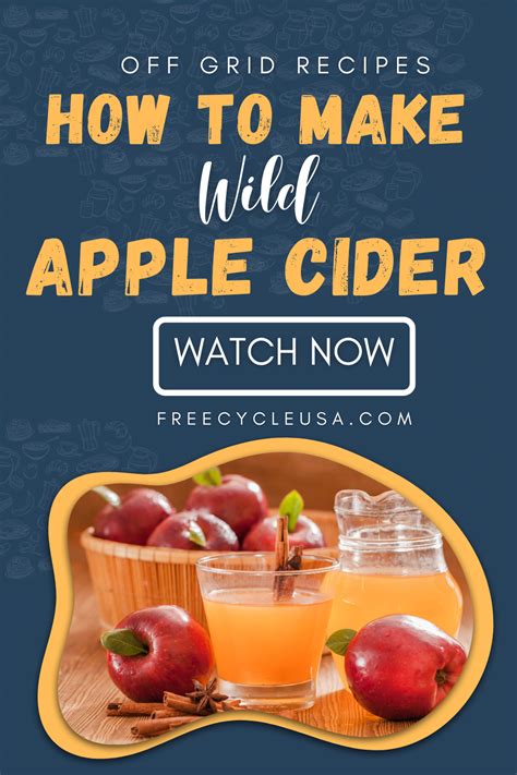 Wild Outdoor Edibles Homemade Wild Apple Cider Easy To Make