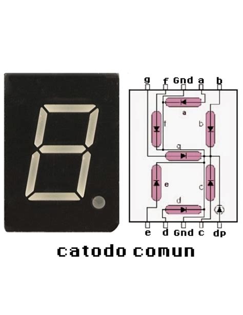 Display Anodo Comun 7 Segmentos Pdf Riset