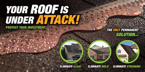 Copper Cat Get Rid Of The Algae On Your Roof Shop Now Home