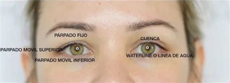 Partes Del Ojo Maquillaje Professional Makeup Makeup Tutorials Eyes