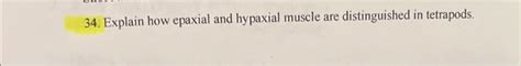 Solved 34. Explain how epaxial and hypaxial muscle are | Chegg.com