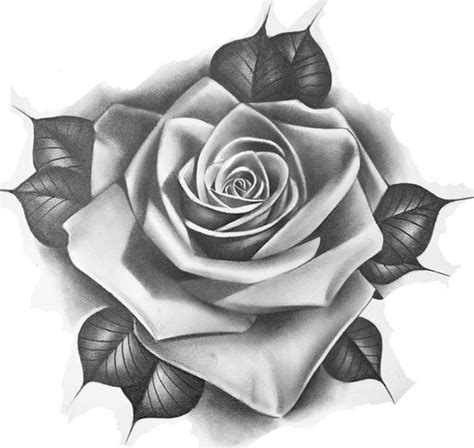 Pin By Marvin Jenkins On Boredpanda In 2024 Rose Tattoo Design